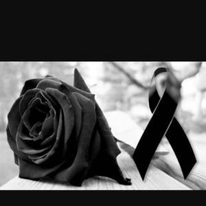 Meet your Posher, Marco